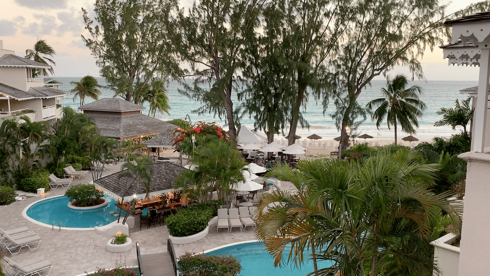 Bougainvillea Barbados