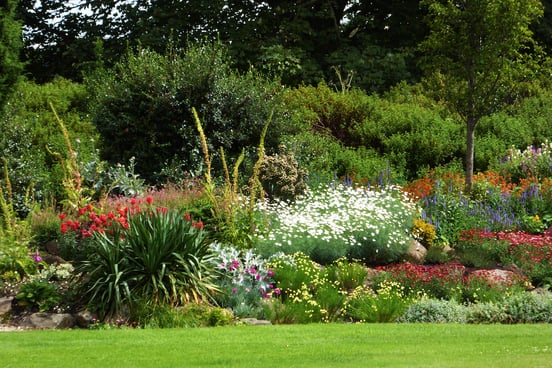 Gardens at Holyrood